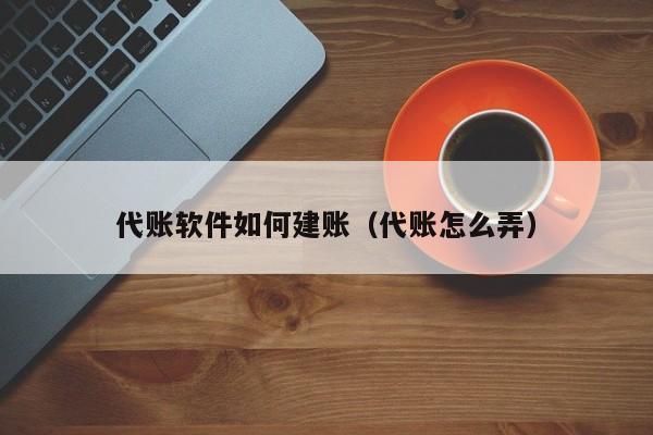 代账软件如何建账（代账怎么弄）