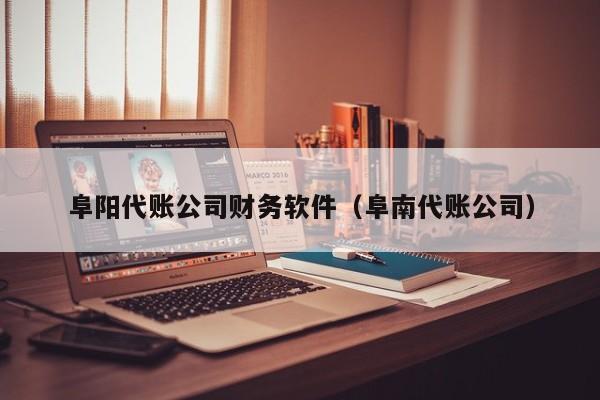 阜阳代账公司财务软件（阜南代账公司）