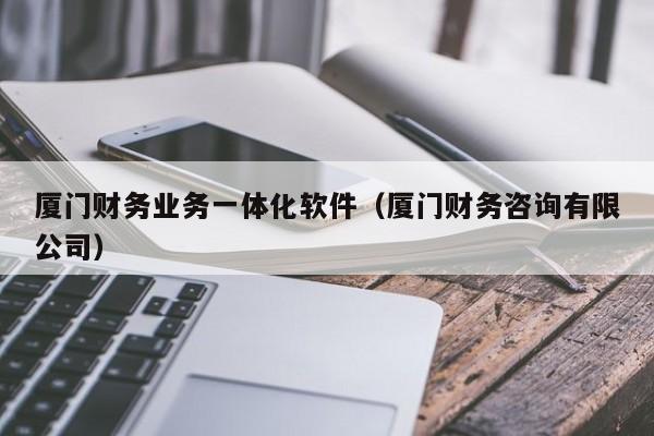 厦门财务业务一体化软件（厦门财务咨询有限公司）