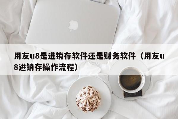 用友u8是进销存软件还是财务软件（用友u8进销存操作流程）