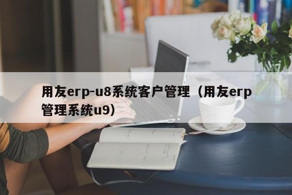 用友erp-u8系统客户管理（用友erp管理系统u9）