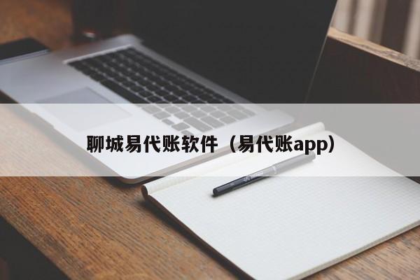 聊城易代账软件（易代账app）