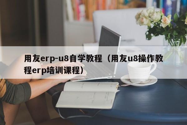 用友erp-u8自学教程（用友u8操作教程erp培训课程）