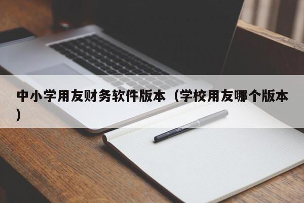 中小学用友财务软件版本（学校用友哪个版本）