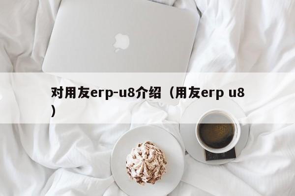 对用友erp-u8介绍（用友erp u8）