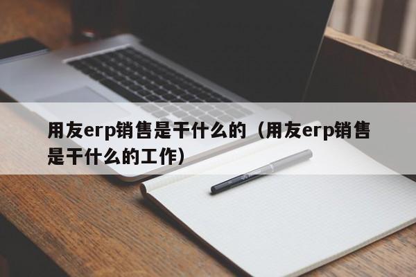 用友erp销售是干什么的（用友erp销售是干什么的工作）