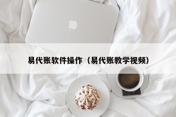 易代账软件操作（易代账教学视频）