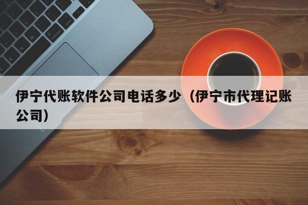 伊宁代账软件公司电话多少（伊宁市代理记账公司）