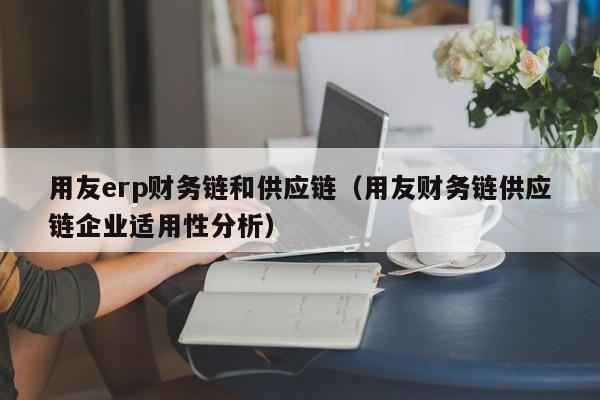 用友erp财务链和供应链（用友财务链供应链企业适用性分析）