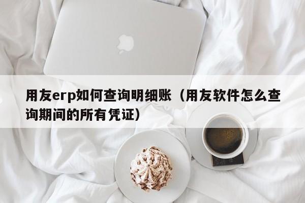 用友erp如何查询明细账（用友软件怎么查询期间的所有凭证）