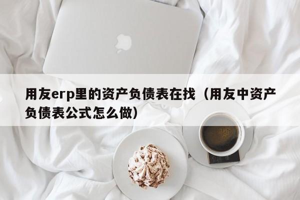 用友erp里的资产负债表在找（用友中资产负债表公式怎么做）