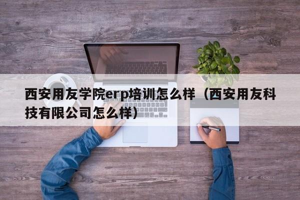 西安用友学院erp培训怎么样（西安用友科技有限公司怎么样）