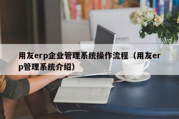 用友erp企业管理系统操作流程（用友erp管理系统介绍）