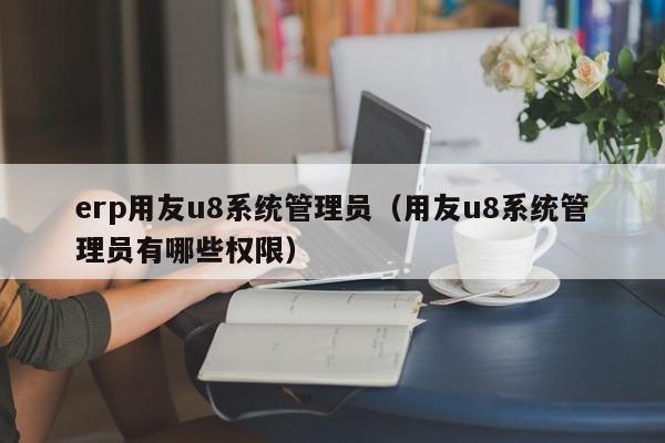 erp用友u8系统管理员（用友u8系统管理员有哪些权限）