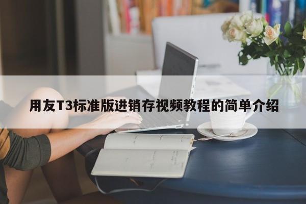 用友T3标准版进销存视频教程的简单介绍