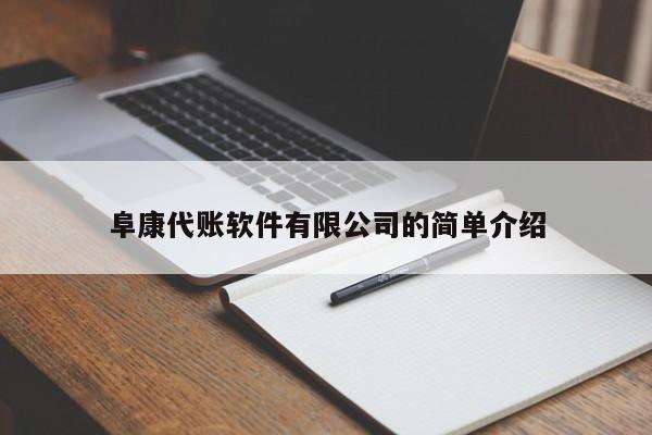 阜康代账软件有限公司的简单介绍