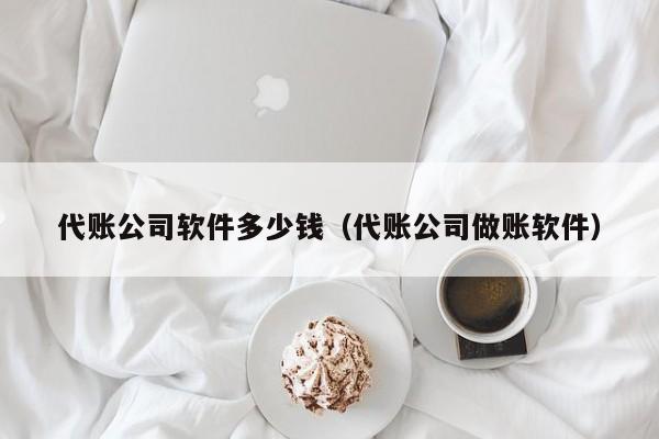 代账公司软件多少钱（代账公司做账软件）