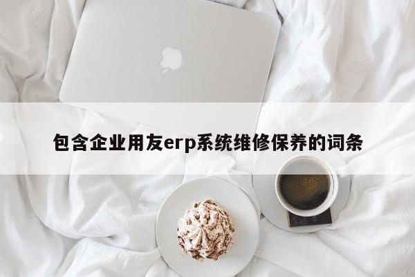 包含企业用友erp系统维修保养的词条