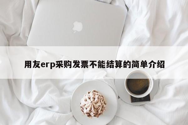 用友erp采购发票不能结算的简单介绍