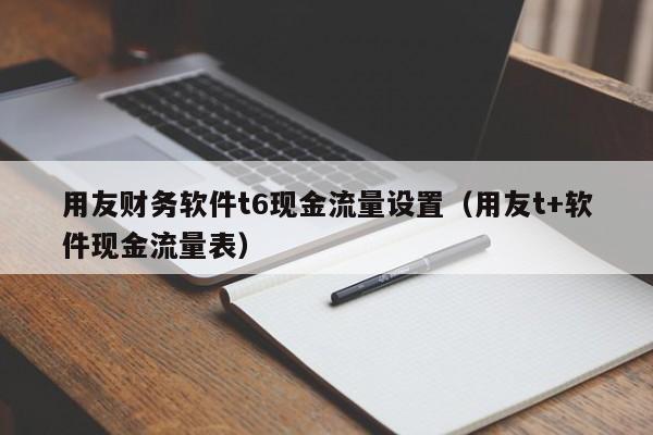 用友财务软件t6现金流量设置（用友t+软件现金流量表）