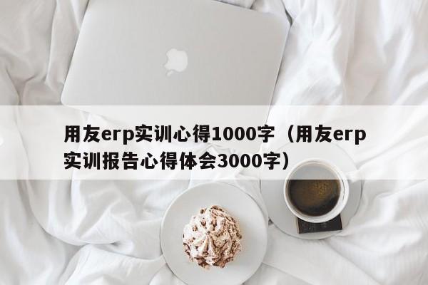 用友erp实训心得1000字（用友erp实训报告心得体会3000字）