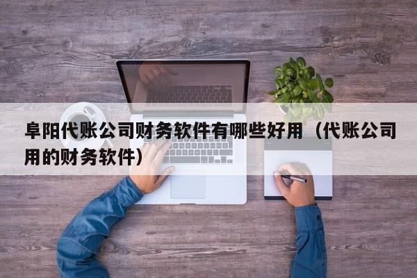 阜阳代账公司财务软件有哪些好用（代账公司用的财务软件）