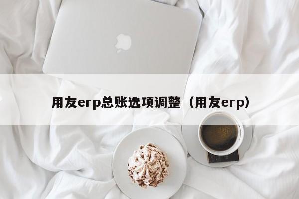 用友erp总账选项调整（用友erp）