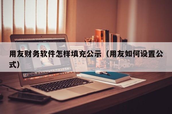 用友财务软件怎样填充公示（用友如何设置公式）