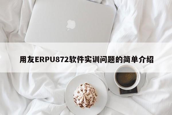 用友ERPU872软件实训问题的简单介绍