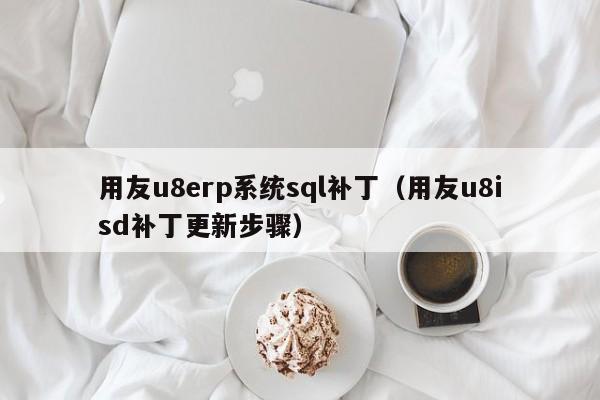 用友u8erp系统sql补丁（用友u8isd补丁更新步骤）