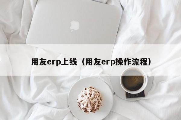 用友erp上线（用友erp操作流程）