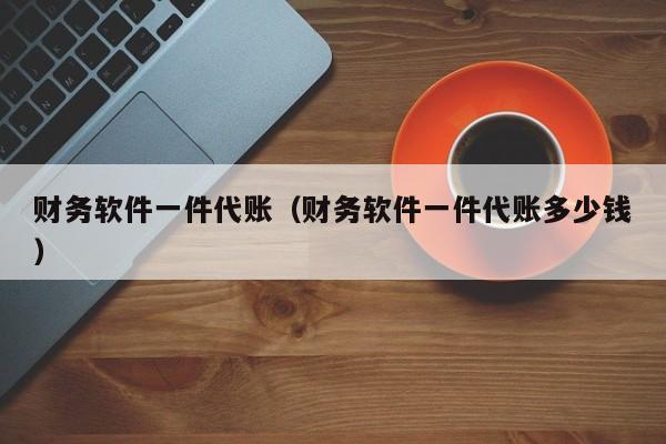 财务软件一件代账（财务软件一件代账多少钱）