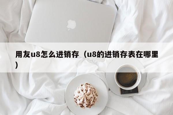 用友u8怎么进销存（u8的进销存表在哪里）