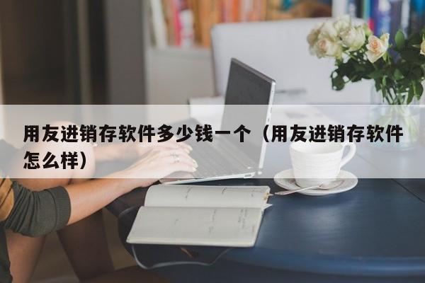 用友进销存软件多少钱一个（用友进销存软件怎么样）