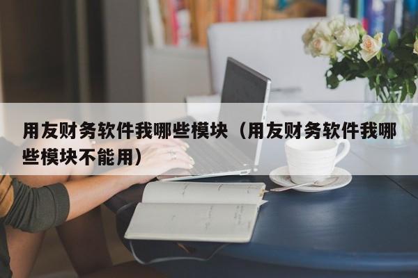 用友财务软件我哪些模块（用友财务软件我哪些模块不能用）