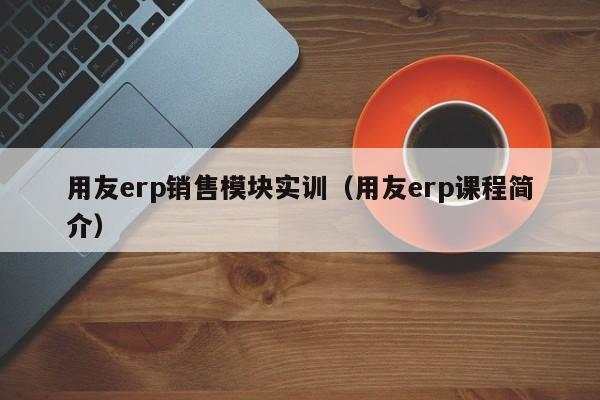 用友erp销售模块实训（用友erp课程简介）