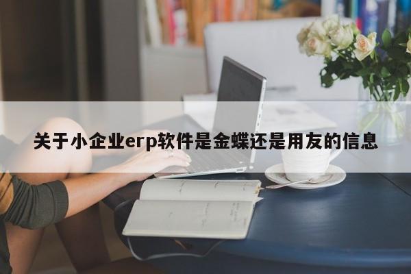 关于小企业erp软件是金蝶还是用友的信息