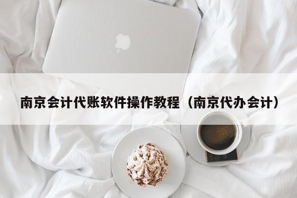 南京会计代账软件操作教程（南京代办会计）