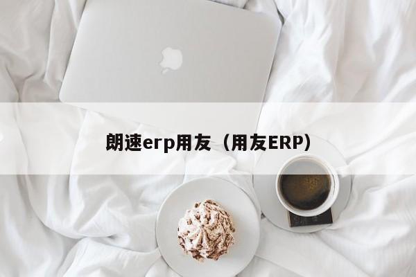 朗速erp用友（用友ERP）