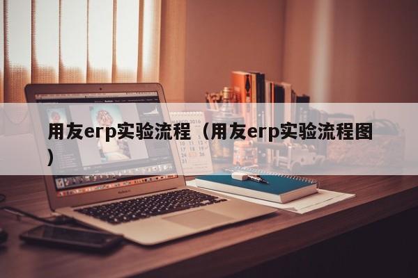 用友erp实验流程（用友erp实验流程图）