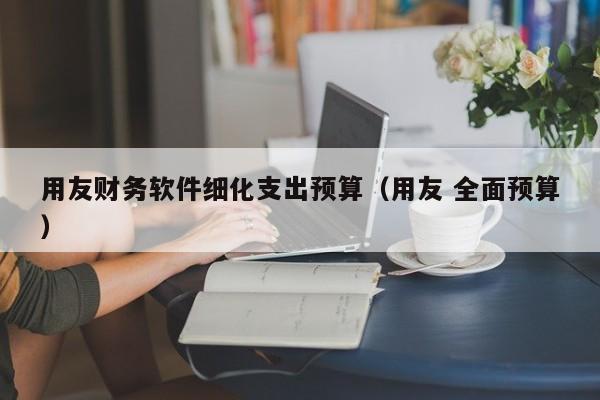 用友财务软件细化支出预算（用友 全面预算）