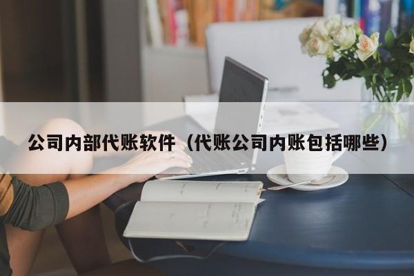 公司内部代账软件（代账公司内账包括哪些）