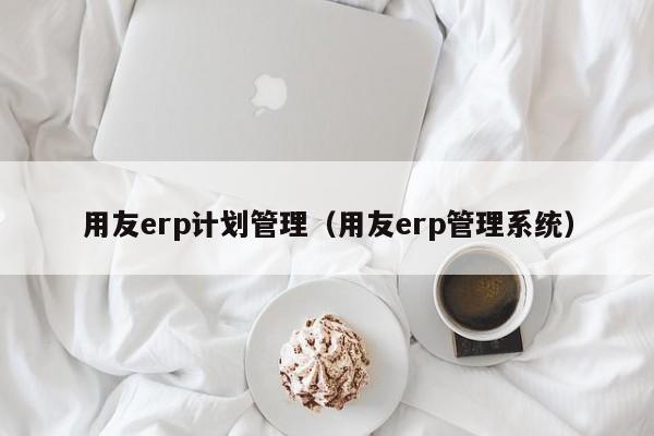 用友erp计划管理（用友erp管理系统）