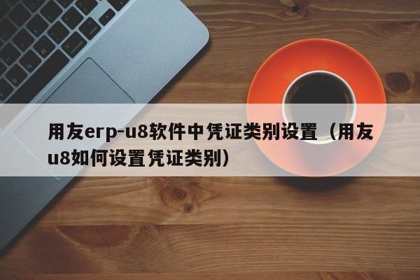 用友erp-u8软件中凭证类别设置（用友u8如何设置凭证类别）