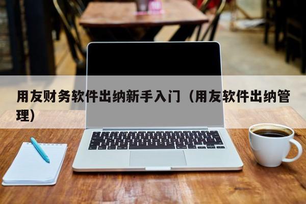 用友财务软件出纳新手入门（用友软件出纳管理）