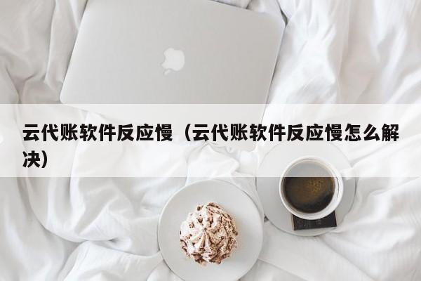 云代账软件反应慢（云代账软件反应慢怎么解决）