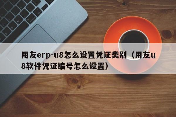 用友erp-u8怎么设置凭证类别（用友u8软件凭证编号怎么设置）