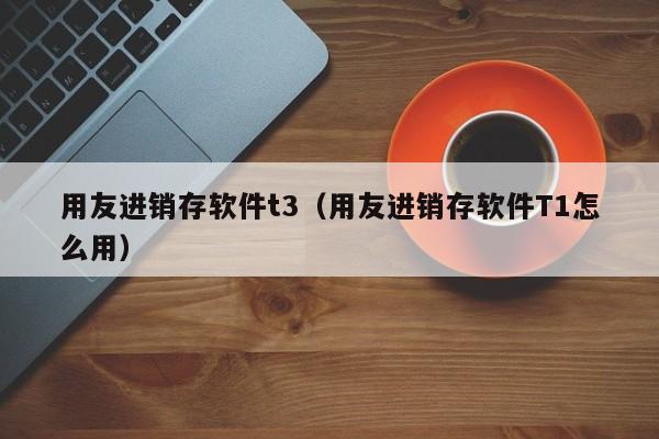 用友进销存软件t3（用友进销存软件T1怎么用）