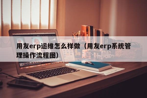 用友erp运维怎么样做（用友erp系统管理操作流程图）