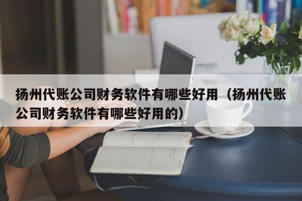 扬州代账公司财务软件有哪些好用（扬州代账公司财务软件有哪些好用的）